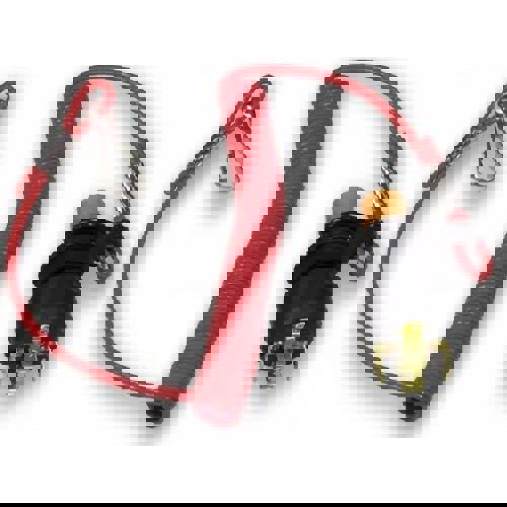 Automotive Switches; Switch Type: Starter ; Number Of Connections: 2 ; Sequence: Off ; Amperage: 15 ; Voltage: 12 ; Color: Red; Black